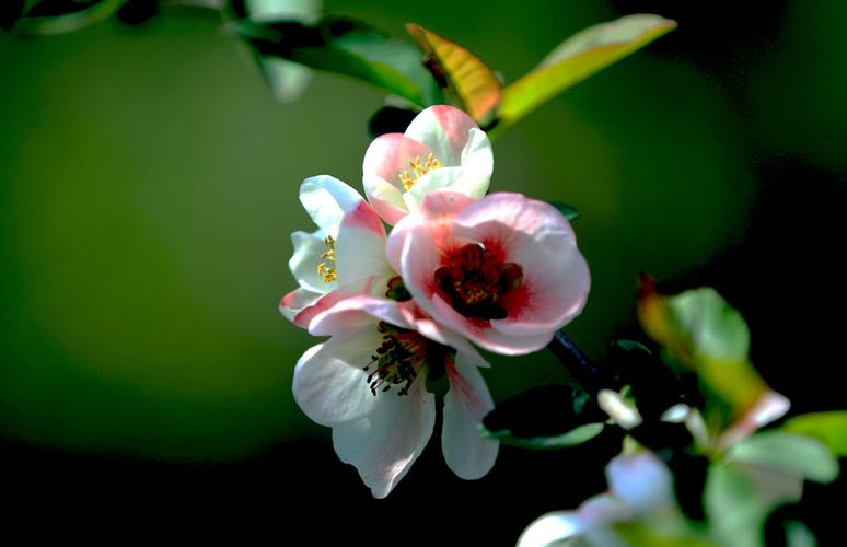 毕节自驾游必去十大景点_毕节自驾游必去十