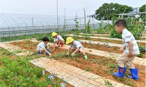 20亩亲子农场的游乐项目