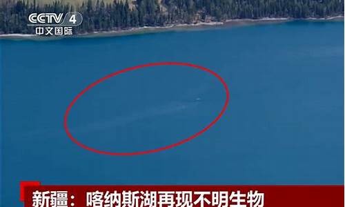 喀纳斯湖水怪真实现身震惊全世界_喀纳斯湖水怪真实现身震惊全世