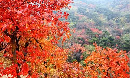 北京香山公园在哪_北京香山公园在哪里